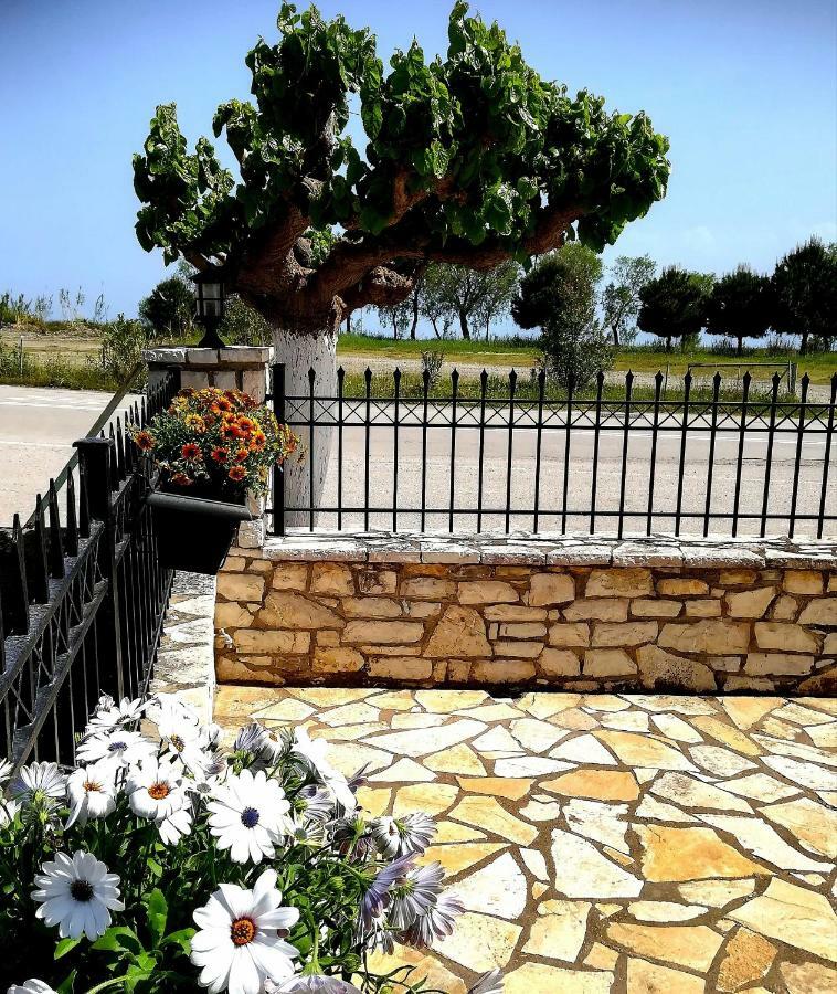 ארטיני Eleftheria'S Apartments מראה חיצוני תמונה